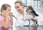 KidZania já tem hospital veterinário