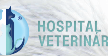 Centro de Formação do GHV realiza Curso de oftalmologia