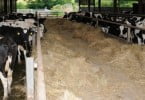 Investigadores querem criar explorações agropecuárias inteligentes