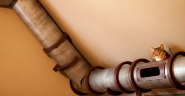 Arquitetos criam estrutura de home office para cat lovers