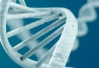 Empresa de biotecnologia quer criar ADN sintético de seres vivos