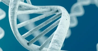 Empresa de biotecnologia quer criar ADN sintético de seres vivos