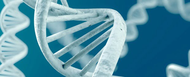 Empresa de biotecnologia quer criar ADN sintético de seres vivos