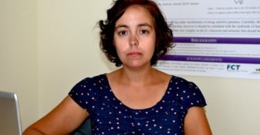 Doença Hemorrágica Viral: Existem relatos de que as mortalidades podem chegar aos 80%