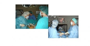 1º Curso Cirurgia Lararoscópica Veterinária