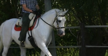 Fundação Alter Real com futuro indefinido