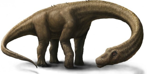 Cientistas descobrem maior animal terrestre