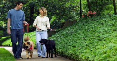 Cãominha no Corredor Ecológico de Valongo