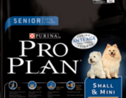 Novo Pro Plan melhora função cognitiva em cães