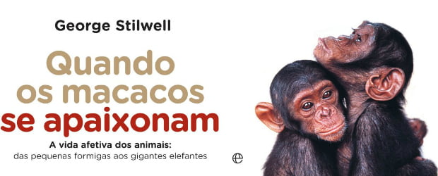 George Stilwell revela Quando os Macacos se Apaixonam