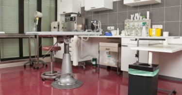 Subida do IVA em Espanha vai afetar negativamente as clínicas veterinárias