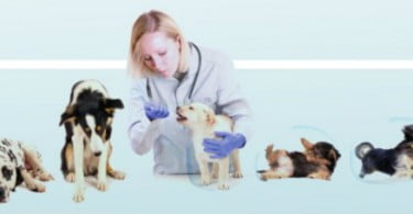 I Simposium Esteve sobre Leishmaniose