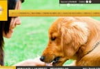 Pedigree lança site dedicado aos snacks