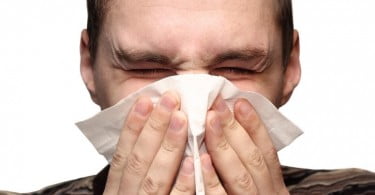 Descoberta vacina que cura alergia a gatos