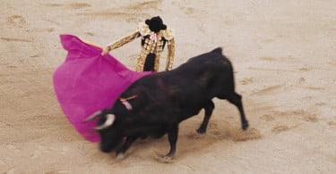 VI Jornadas da Tertúlia Tauromáquica