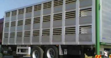 Formação em Proteção dos Animais de Transporte em Curta Duração