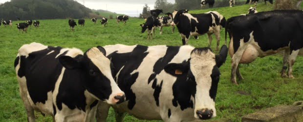 BEL vai beneficiar produtores com práticas produtivas mais sustentáveis