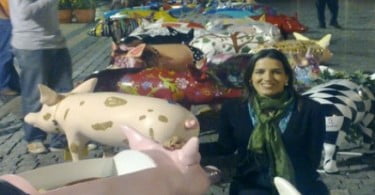 VetDiagnos no OIPORC11