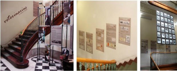 DGV inaugura exposição dedicada aos veterinários