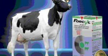 Vetóquinol lança Forcyl 50ml