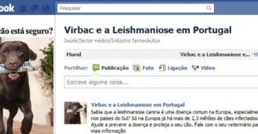 Virbac esclarece dúvidas sobre Leishmaniose via Facebook
