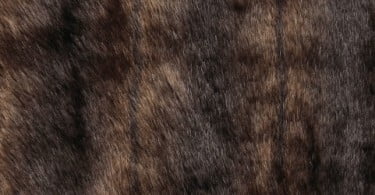 Holanda proíbe produção de peles