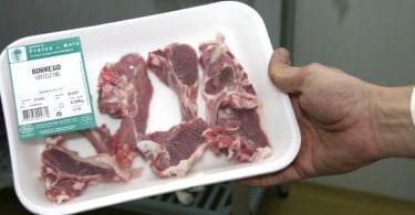 Workshop sobre riscos e benefícios do consumo de carne e peixe