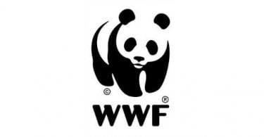 WWF espanhola afasta Rei Juan Carlos da presidência honorária
