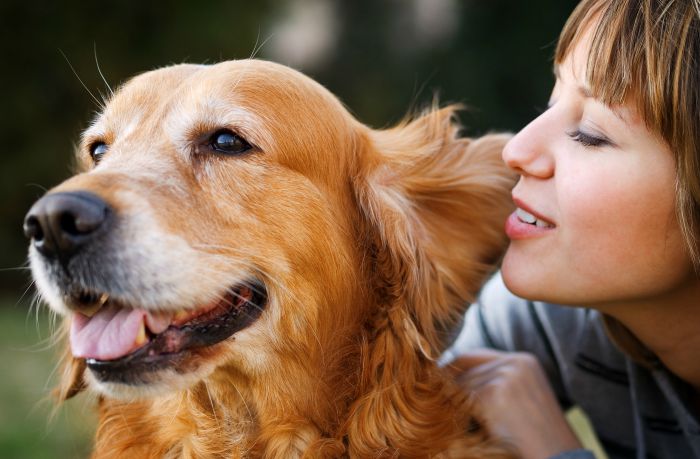 pessoa a olhar para cão Veterinária Atual