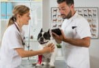clínica veterinária