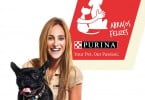 Purina campanha Abraços Felizes