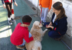 Centro para o Conhecimento Animal assistência a pessoas com deficiência