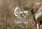 Canine Science Forum