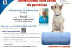 Webinar Cesman Hills  janeiro