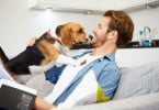 cão a olhar para homem