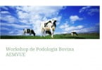 podologia bovina