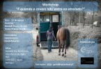 CPCA Workshop E quando o Cavalo não entra no atrelado