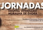 Jornadas HVME