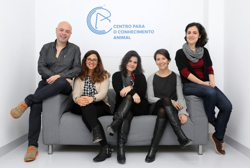 “Estamos a criar serviços inovadores no mundo”