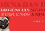 AEMVUE Emergências Médicas Pequenos Animais Veterinária Atual