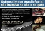 FMV UL formação osteossíntese maxilofacial Veterinária Atual