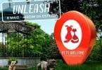 festival urbano para cães