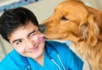 cão beija veterinário