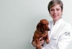 OdontoVet
