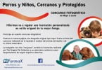Hifarmax concurso Facebook Veterinária Atual
