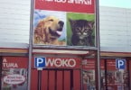 Kiwoko lojas de animais Veterinária Atual