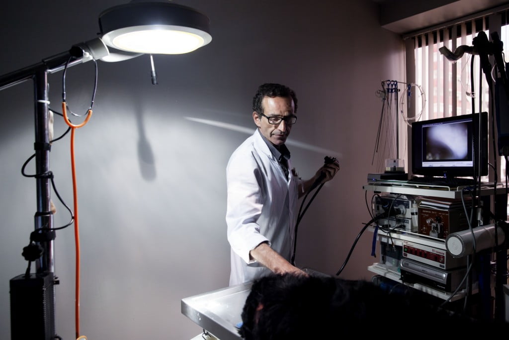 Hospital Veterinário de Telheiras Endoscopia alta. 2015/05/05 Eduardo Martins