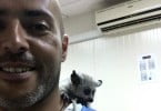 João Figueira médico veterinário Veterinária Atual