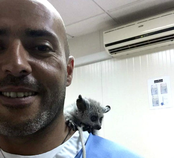 João Figueira médico veterinário Veterinária Atual