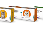 Bravecto MSD Veterinária Atual